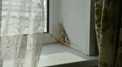 Formy na okna z tworzyw sztucznych i drewnianych